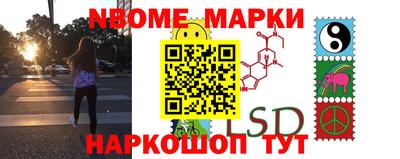 молекула духа Будённовск