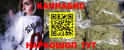 молекула духа Будённовск