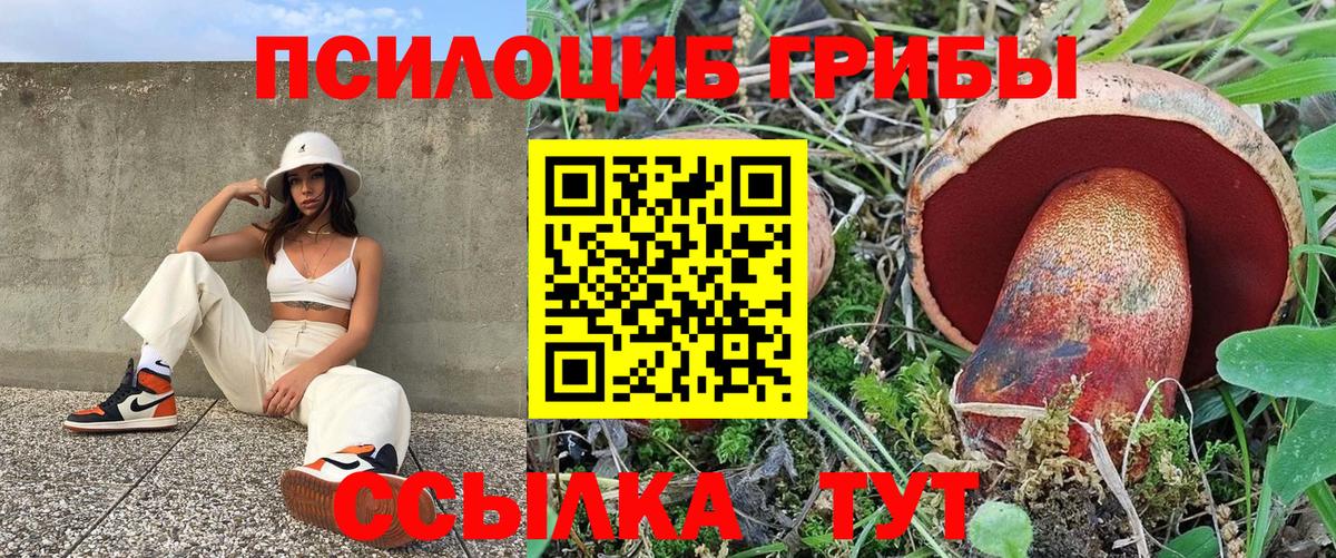 Галлюциногенные грибы MAGIC MUSHROOMS  Вход с VPN  Новосибирск 
